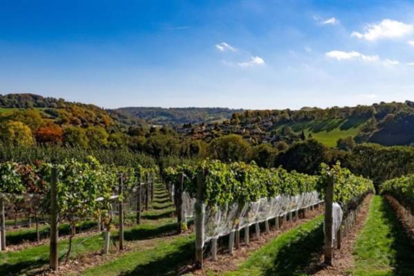 A Taste of the Undiscovered Cotswolds (Trade)