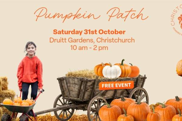 Christchurch BID Pumpkin Patch