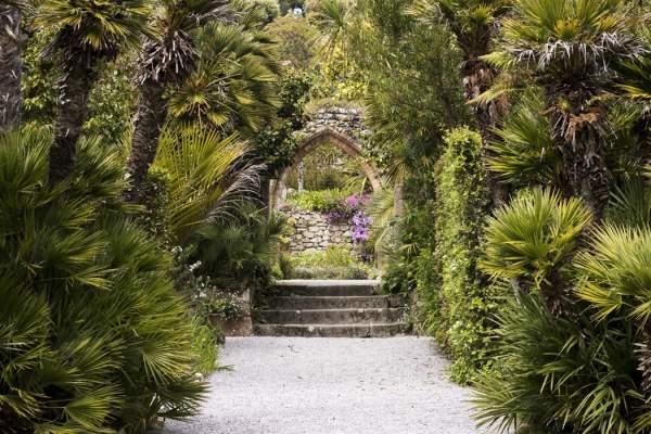 Tresco Abbey Garden