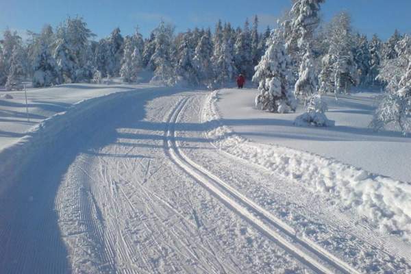 Øynaheia og Toplandsheia