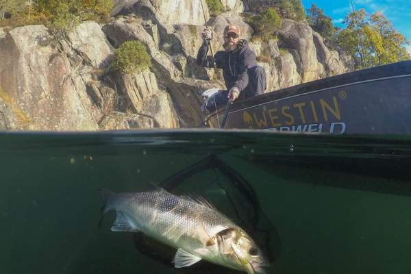 AnglerPilot Guidet fisketur og opplæring på Sørlandet
