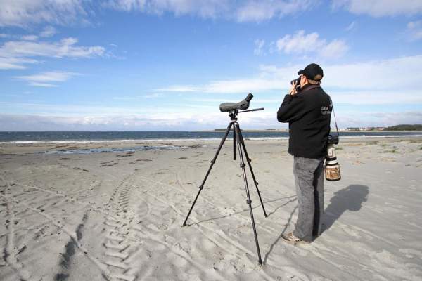 Lista Bird Observatory - Bird watching in Lista