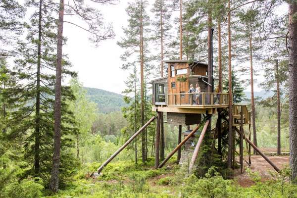 Trehyttene - Treetop cabins in Gjerstad