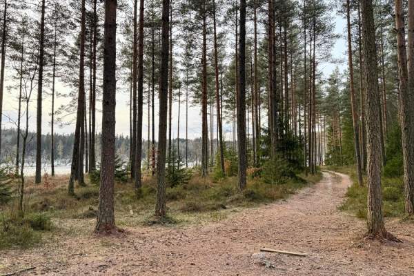 Skogsstien ved Birkenes Bygdemuseum