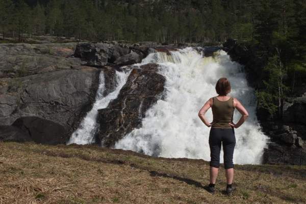 Napen i Åmli