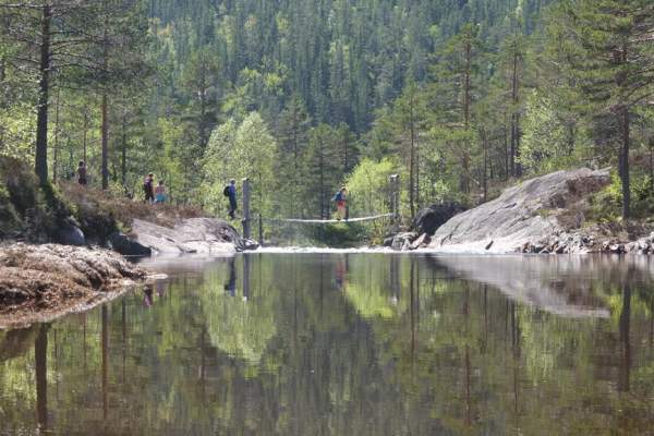 Årdalen naturreservat i Åmli