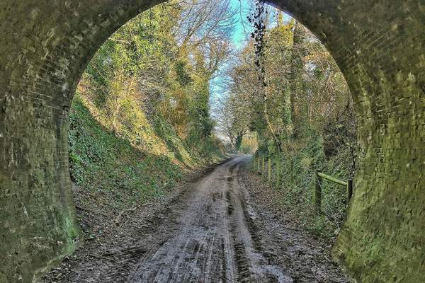 Family eBike Experience: South Downs National Park