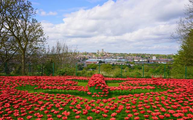 The IBCC Lancaster Poppy Display VE80