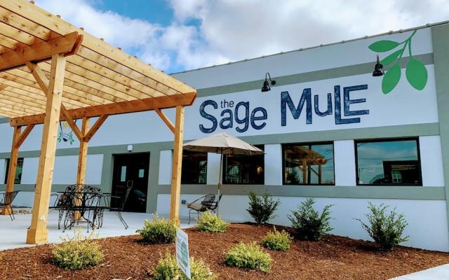 The Sage Mule