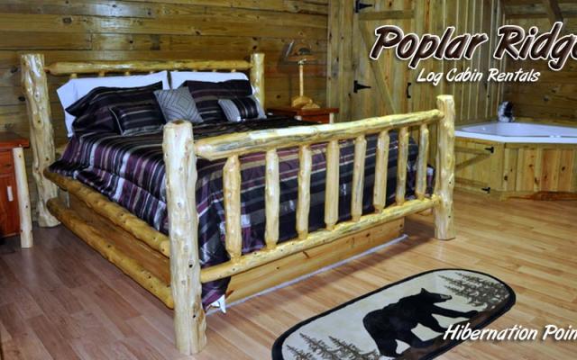 Poplar Ridge Cabin Hibernation Point