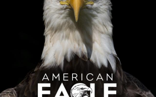 American Eagle Foundation