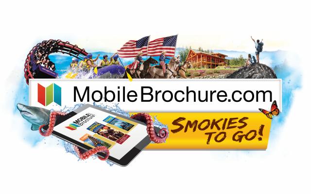 Brochure Distribution Services