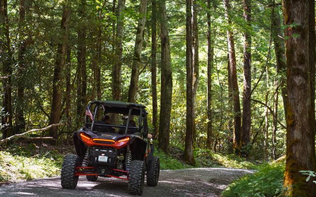 Gatlinburg Adventure Rentals