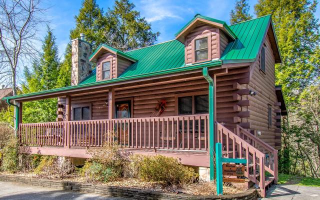 Fireflies & Moonshine Cabin 2BR Cabin