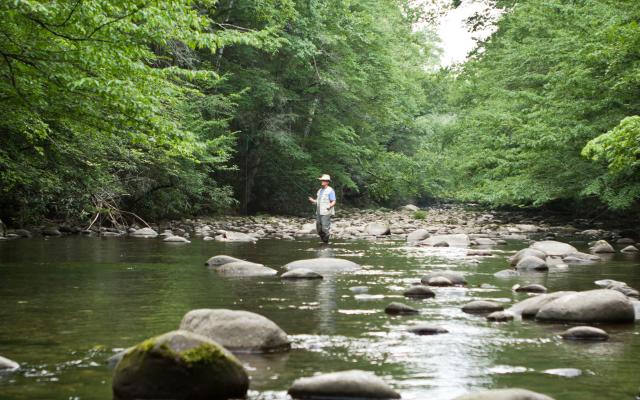 Fly Fishing in the Smokies
