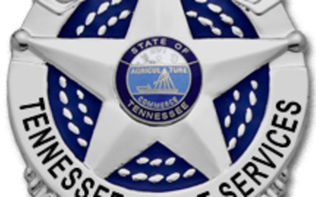 TennesseeCourtService