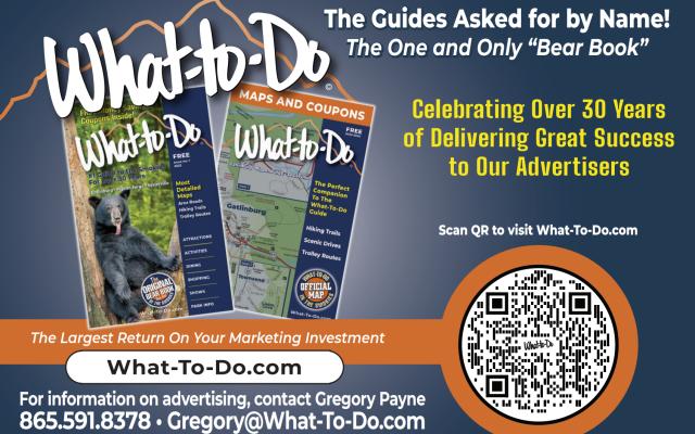 What to Do Guide