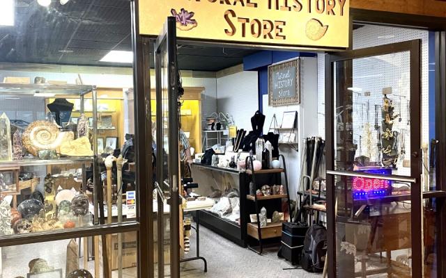 The Natural History Store