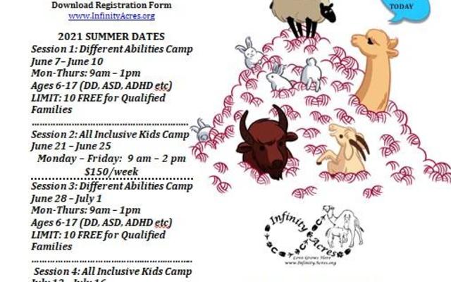 Animal Adventure Summer Camp For Kids