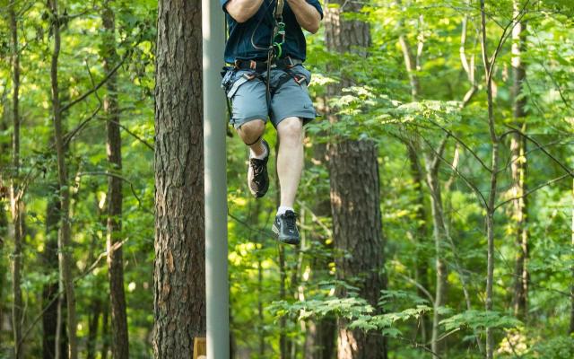 Go Ape Freedom Park
