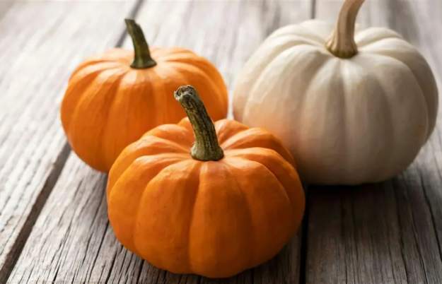 Autumn Pumpkin Craft Club at Coppa Club Clifton