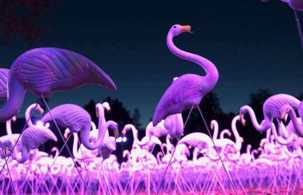 Bristol Light Festival