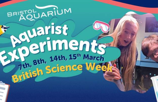 Aquarist Experiments at Bristol Aquarium