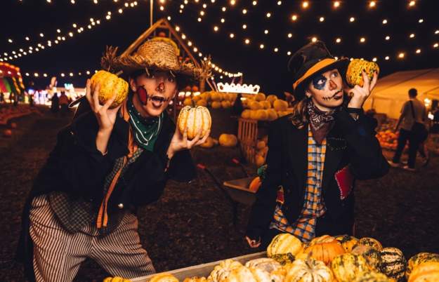 Pumpkin Patch Nights at Avon Valley Adventure & Wildlife Park