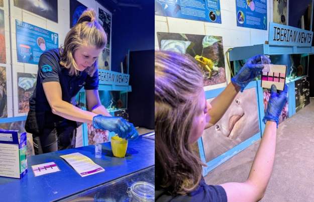 British Science Week at Bristol Aquarium