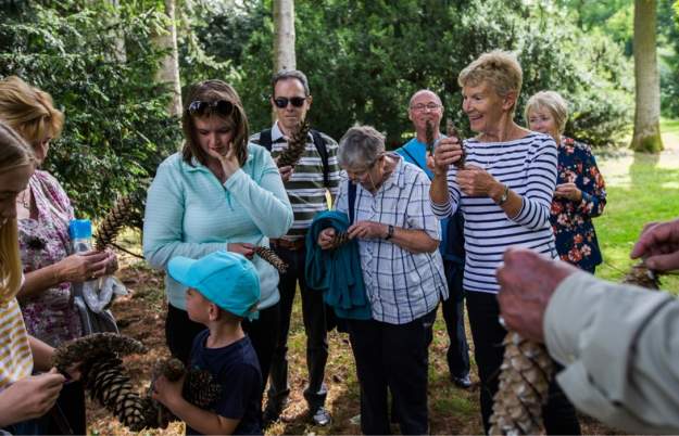 Discovery Walks at Westonbirt Arboretum