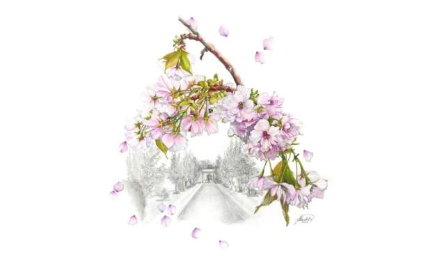 Garden Exhibition - 'The Lifecycle of Plants' at Bowood House & Gardens
