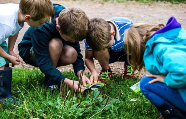 Biodiversity Detectives at Westonbirt Arboretum