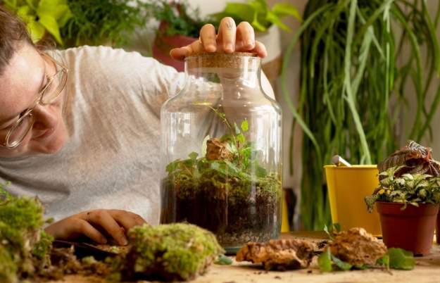 Build Your Own Closed Jungle Terrarium at Plant Studio