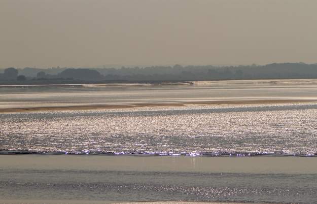 Catch The Tide at WWT Slimbridge Wetland Centre
