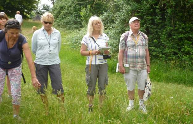 Deep Dive into the Downs - discovery session for City Nature Challenge