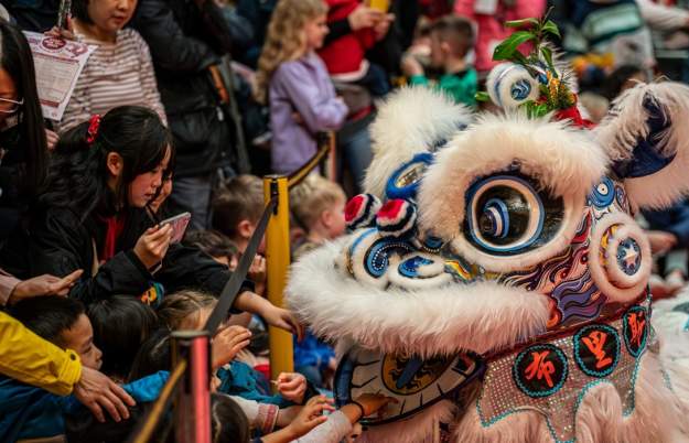 Lunar New Year 2026 at Bristol Museum & Art Gallery