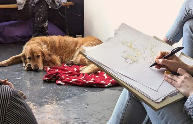 Dog Life Drawing at Jamaica Street Studios