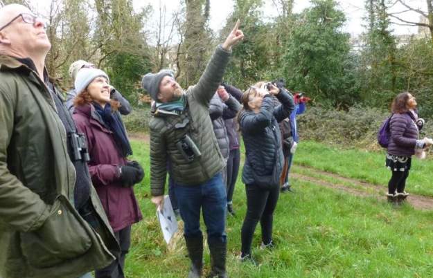 Birds of a feather - winter bird workshop at  Clifton Downs and Conservation Education Centre