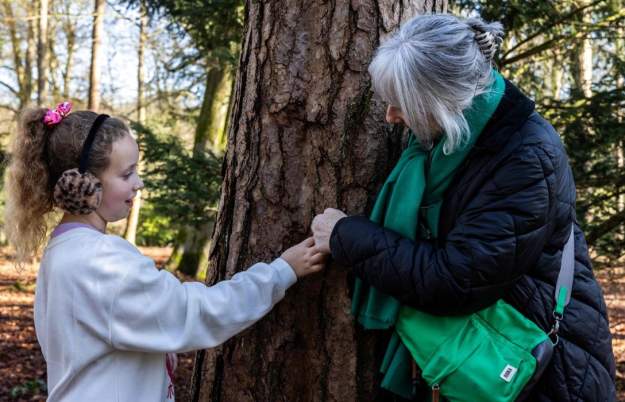 Beautiful Bark at Westonbirt Arboretum