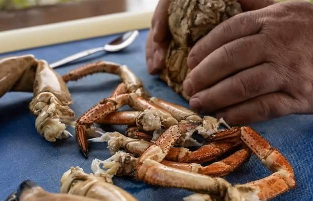 Bristol Seafood Week