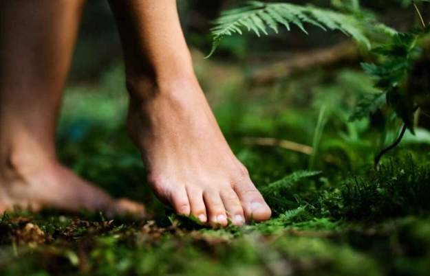 An Introduction to Barefoot Walking at Stockwood Open Space Nature Reserve