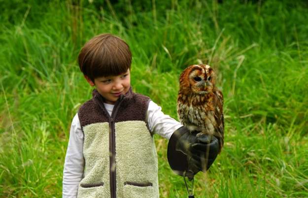 Easter Activity Morning at The Bird of Prey Project