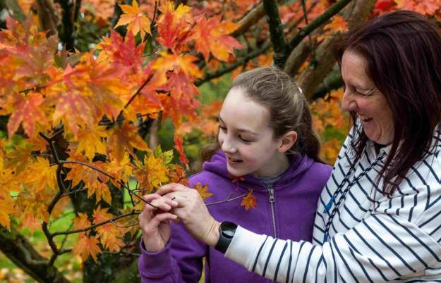 Drawn to Nature Autumn Trail at Westonbirt
