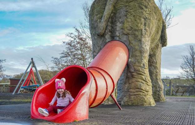 Kids Go Free at Noah's Ark Zoo Farm