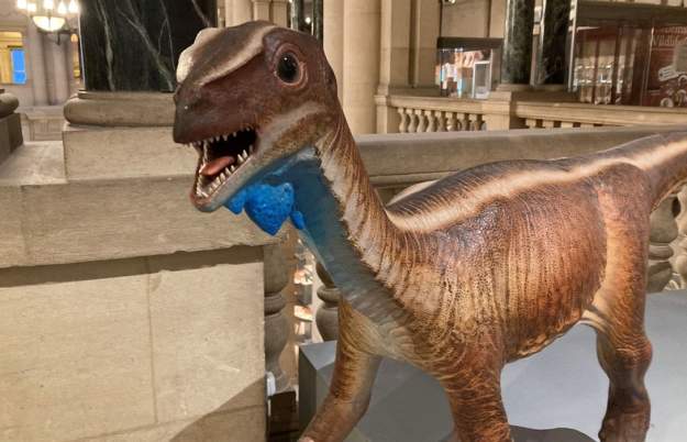 Bristol's Dinosaurs Tour at Bristol Museum & Art Gallery