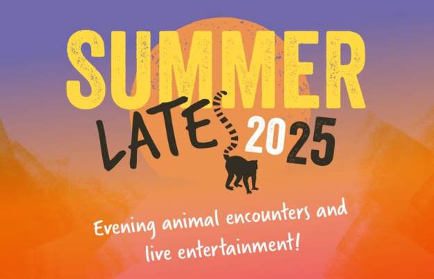 Summer Lates at Bristol Zoo Project