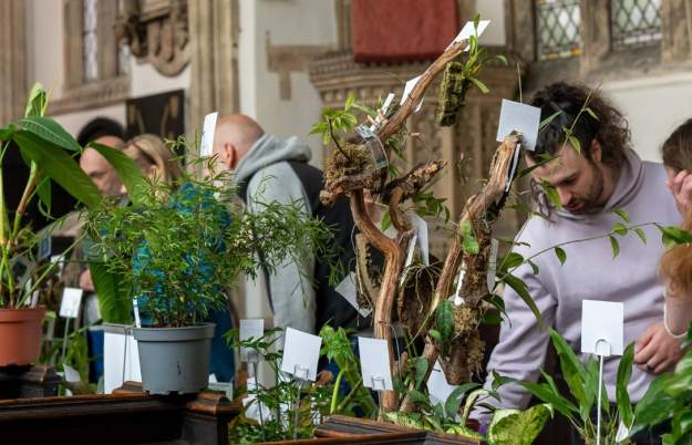 Bristol Rare Plants and Orchid Fair at St Phillip and St Jacob Church