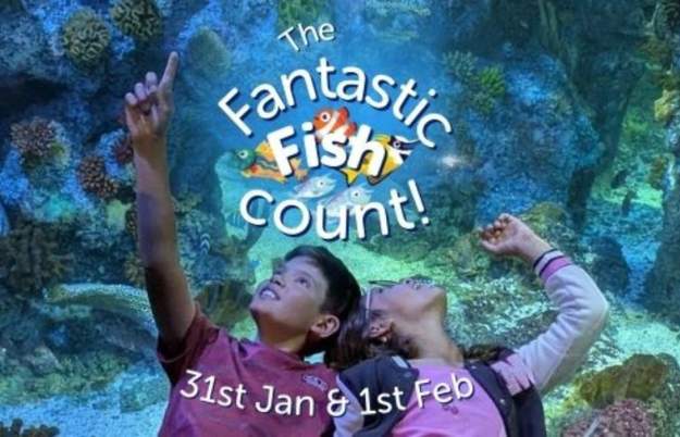 Conservation Carnival at Bristol Aquarium
