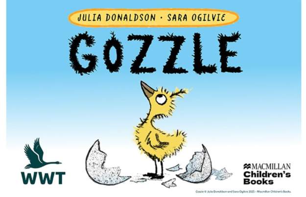 Gozzle at WWT Slimbridge Wetland Centre