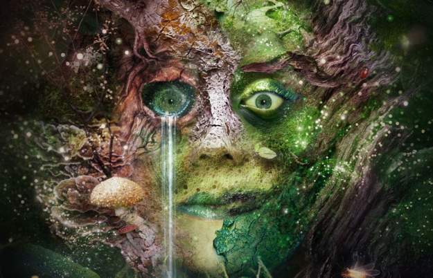 Bog Witch at Bristol Old Vic